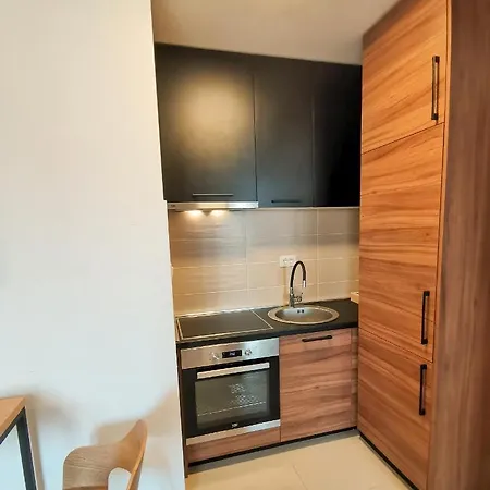 At Ljubovic Hill Park Apartment Podgorica
